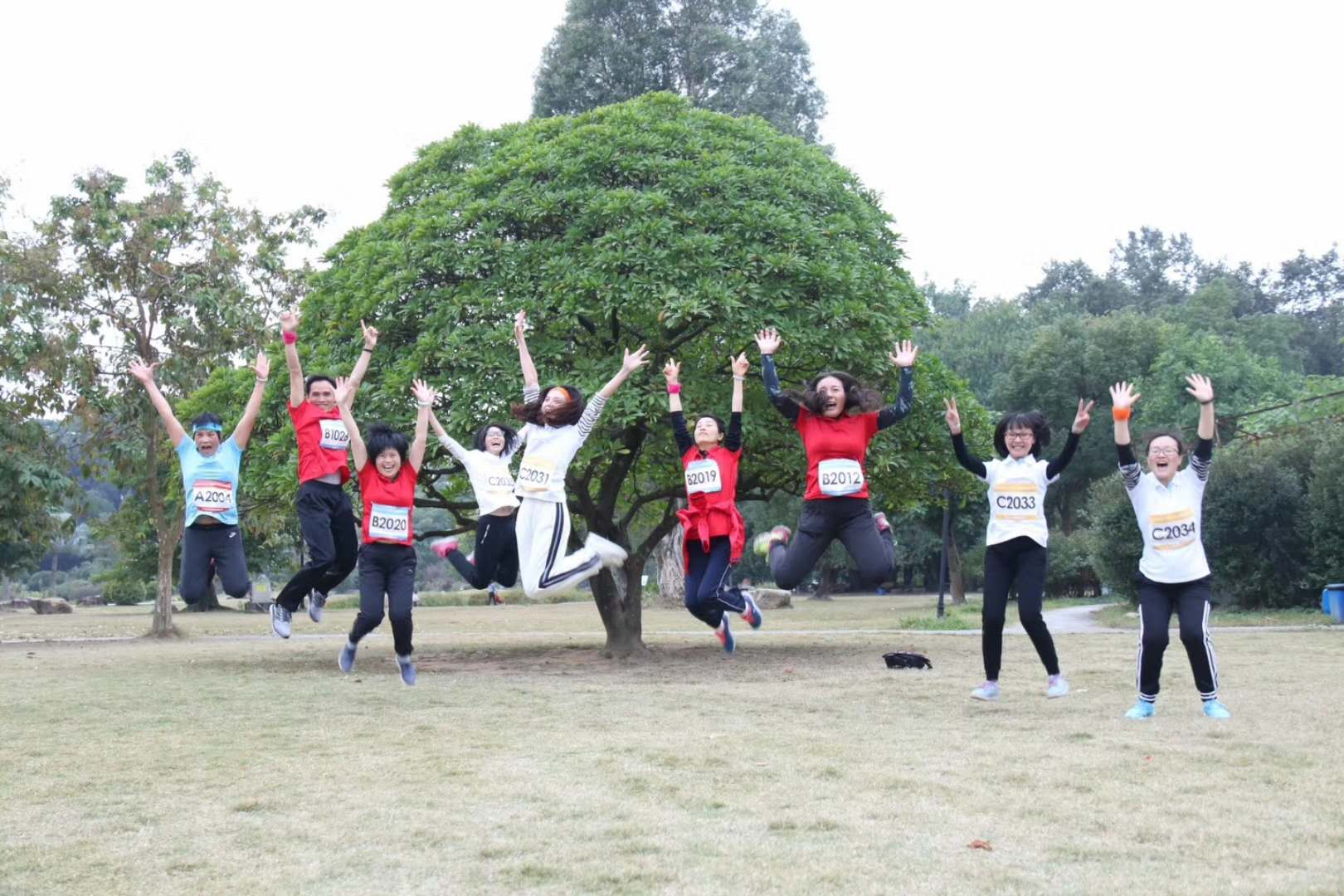 微信图片_20171218172918 微信图片_20171218172918